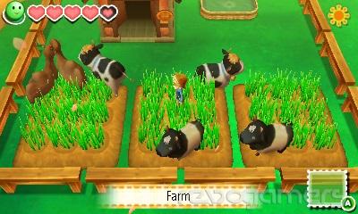 Story of Seasons, imagen 6