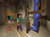 Minecraft: Wii U Edition (Wii U)