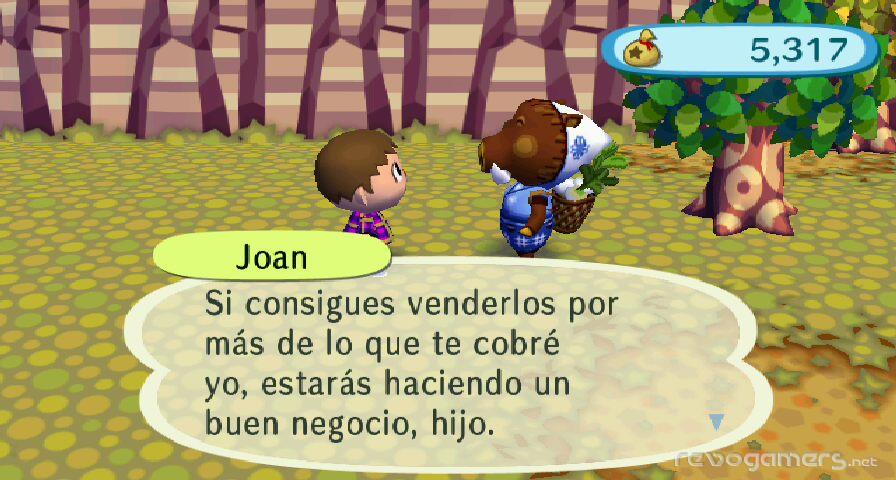 Animal Crossing: Let's Go to the City (City Folk), imagen 31