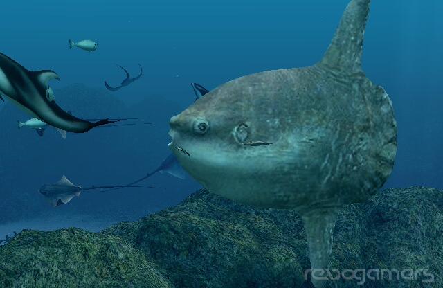 Captura de Endless Ocean 2: Aventuras Bajo el Mar (Forever Blue 2: Beatiful Ocean)