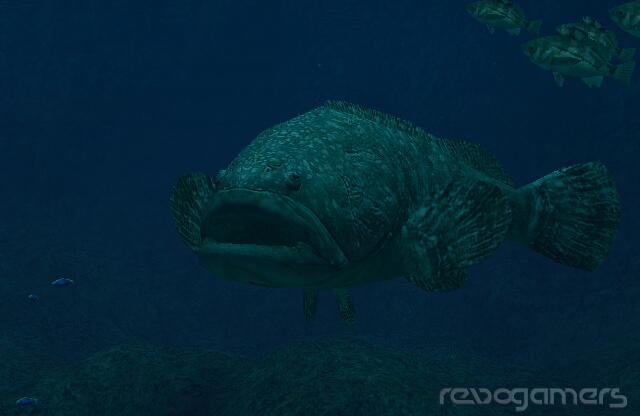 Captura de Endless Ocean 2: Aventuras Bajo el Mar (Forever Blue 2: Beatiful Ocean)