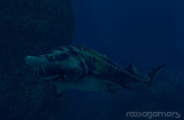 Endless Ocean 2: Aventuras Bajo el Mar (Forever Blue 2: Beatiful Ocean), imagen 8