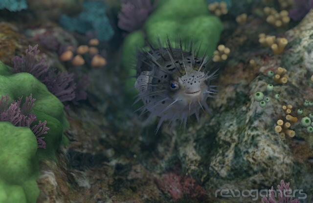 Endless Ocean 2: Aventuras Bajo el Mar (Forever Blue 2: Beatiful Ocean), imagen 3