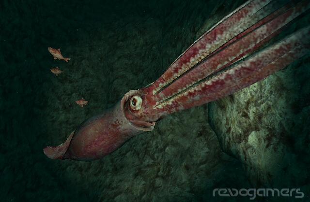 Endless Ocean 2: Aventuras Bajo el Mar (Forever Blue 2: Beatiful Ocean), imagen 1