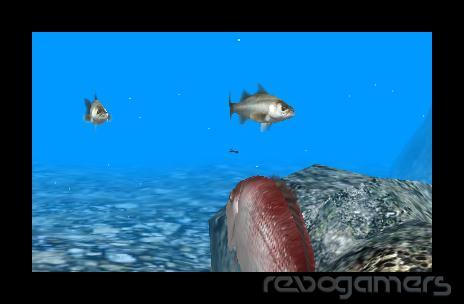 Reel Fishing Paradise 3D