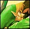 The Legend of Zelda: Ocarina of Time 3D desarrollado por Grezzo