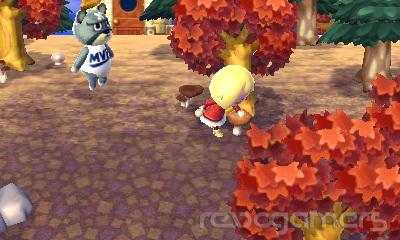 Animal Crossing