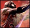 Consigue la demo de NBA 2K13 para Wii U