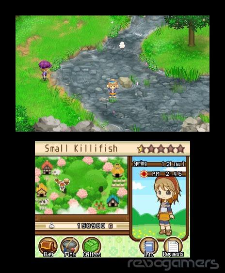 Harvest Moon: Tale of Two Twons, imagen 5