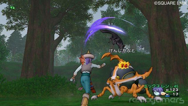 Dragon Quest X, imagen 4