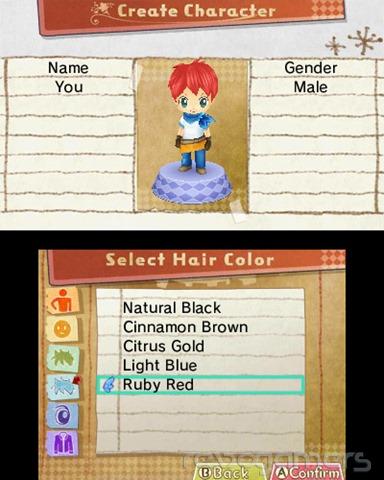 Hometown Story editor de personajes