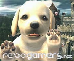 Super Smash Bros Brawl, imagen 482