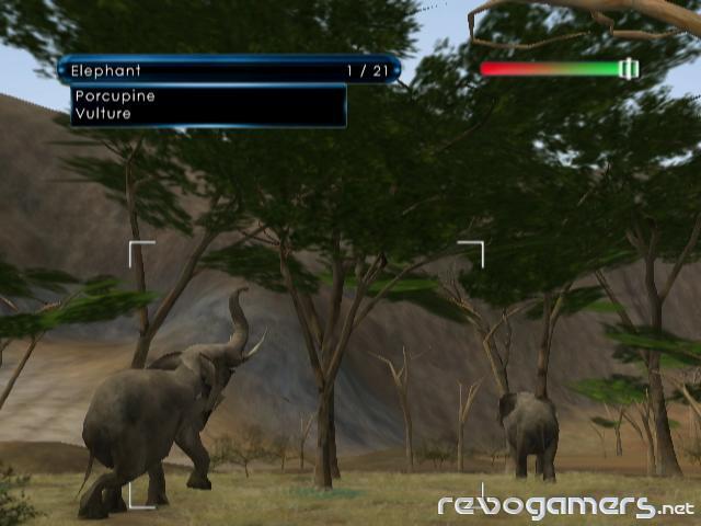 Wild Earth: African Safari, imagen 5