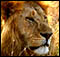 Aventura y fotografía con African Safari