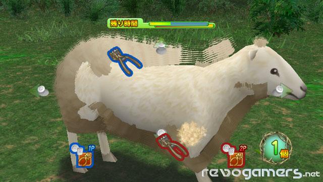 Lost in Blue Shipwrecked (Survival Kids Wii), imagen 21