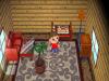 66 capturas para conocer villa y ciudad de Animal Crossing