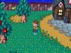 66 capturas para conocer villa y ciudad de Animal Crossing