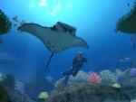 [Act] El relajante mundo de Forever Blue