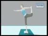Wii Fit o la extraordinaria teoría del primer mes
